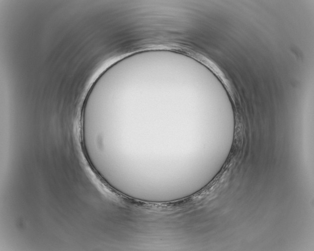 X0000113070811200908281008