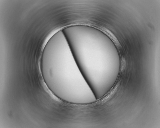 X0000113070812200908281008