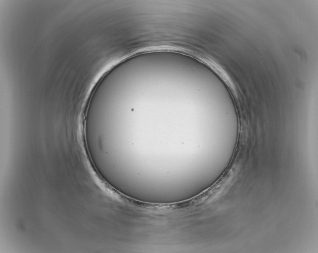 X0000113070813200908281008
