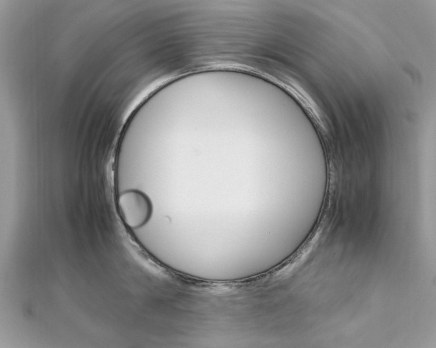 X0000113070814200908281008