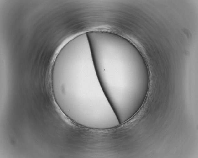 X0000113070816200908281008