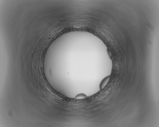 X0000113070817200908281007