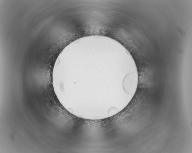 X0000113070820200908281008