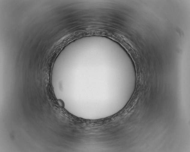 X0000113070821200908281008