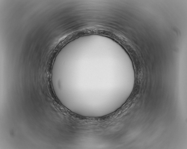 X0000113070822200908281008