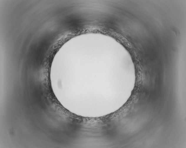 X0000113070824200908281008