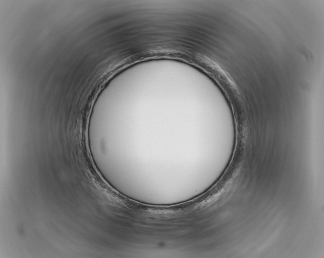 X0000113070825200908281008