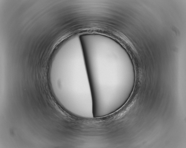 X0000113070826200908281008