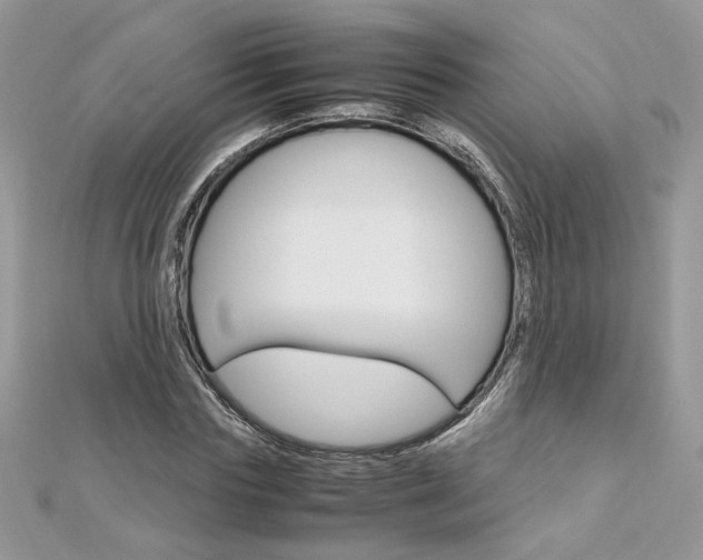 X0000113070827200908281008