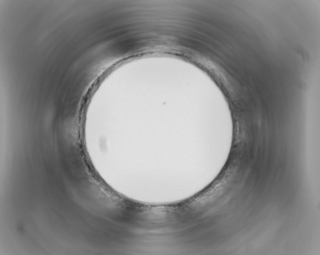 X0000113070828200908281008