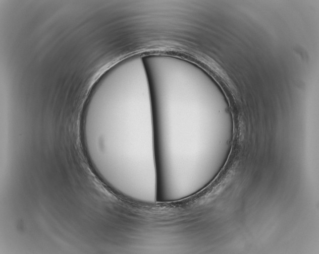 X0000113070834200908281008