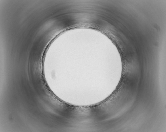 X0000113070836200908281008