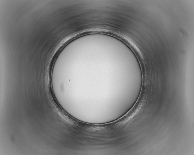 X0000113070837200908281008