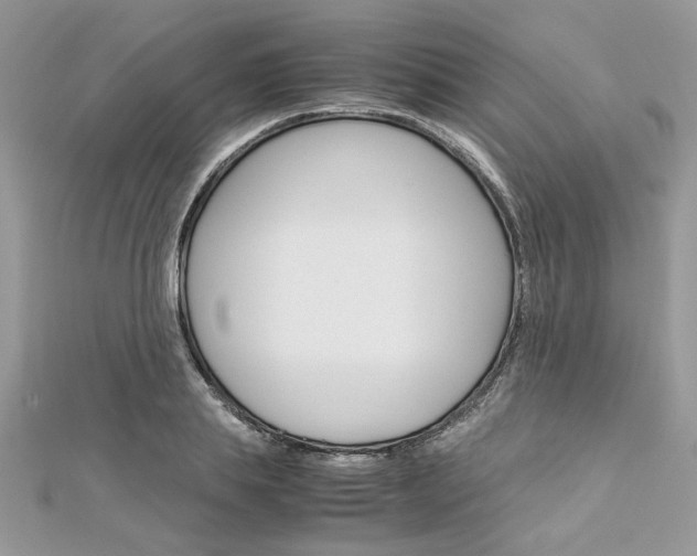 X0000113070839200908281008