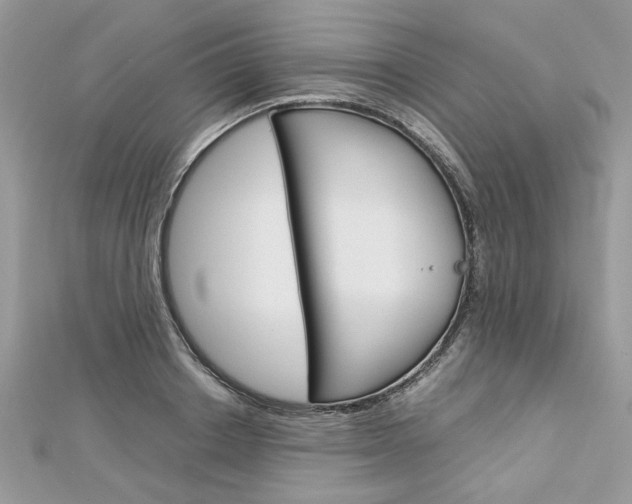 X0000113070842200908281008