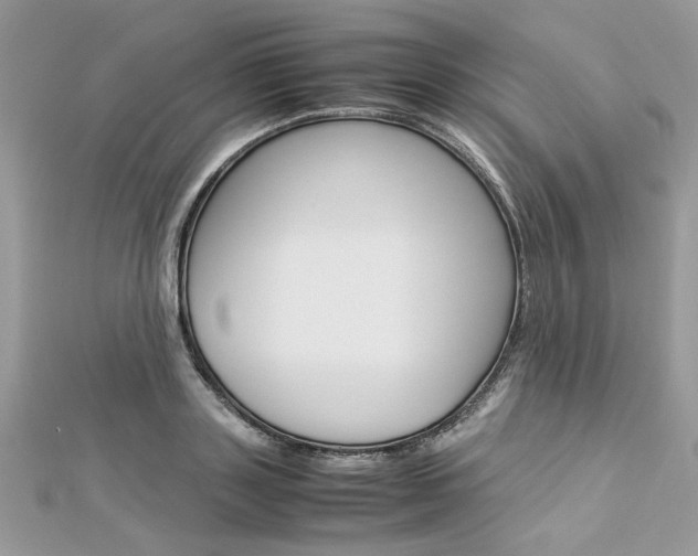 X0000113070843200908281008
