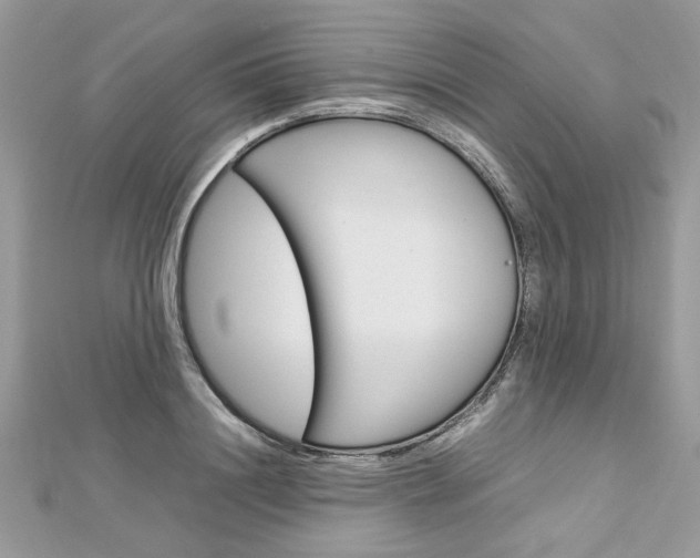 X0000113070844200908281008