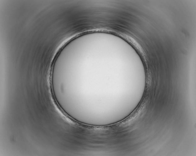 X0000113070847200908281008