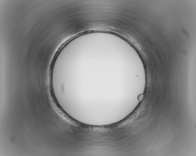 X0000113070848200908281008