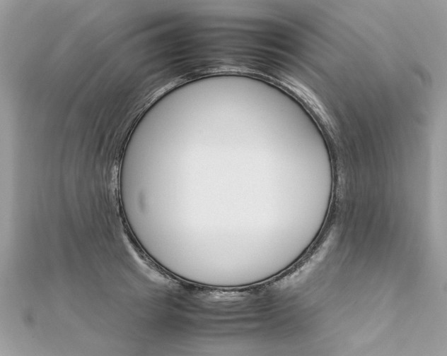 X0000113070849200908281008