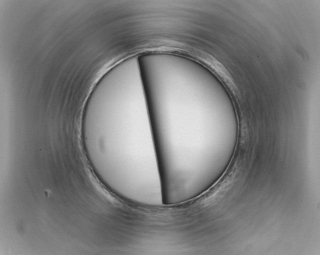 X0000113070850200908281008