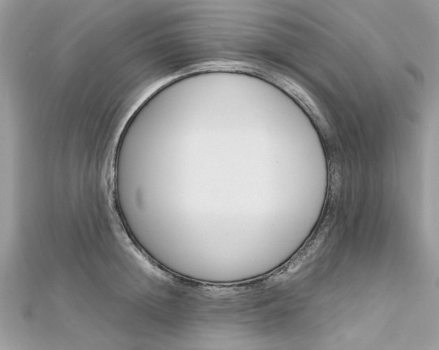 X0000113070852200908281008
