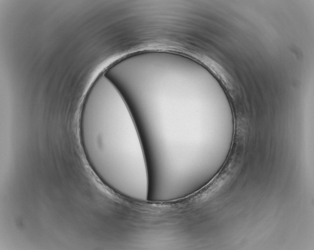 X0000113070854200908281008