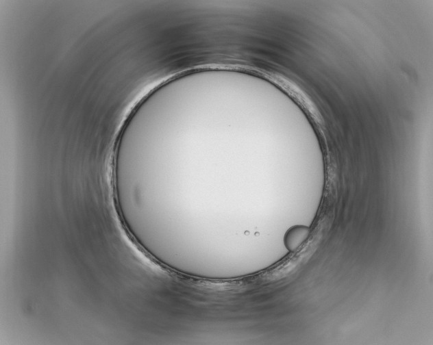 X0000113070855200908281008