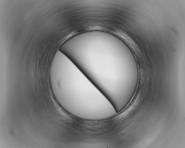 X0000113070857200908281008