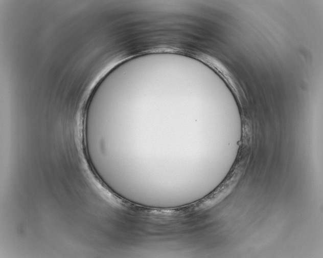 X0000113070859200908281008