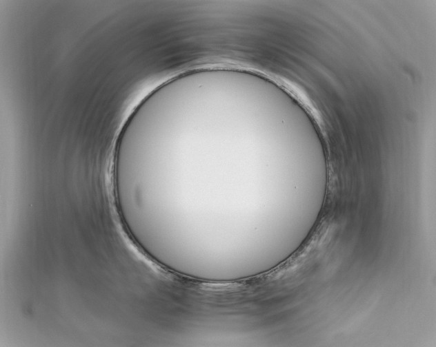 X0000113070863200908281008