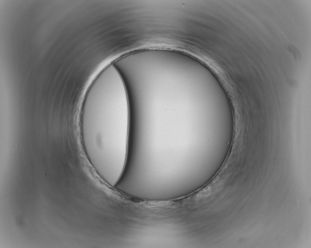 X0000113070864200908281008