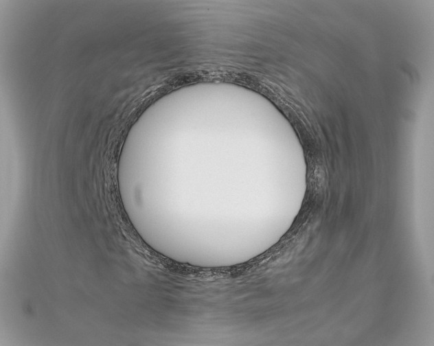 X0000113070865200908281007