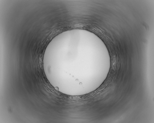 X0000113070866200908281007