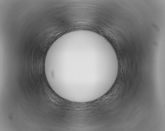 X0000113070868200908281007