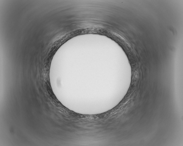 X0000113070869200908281007