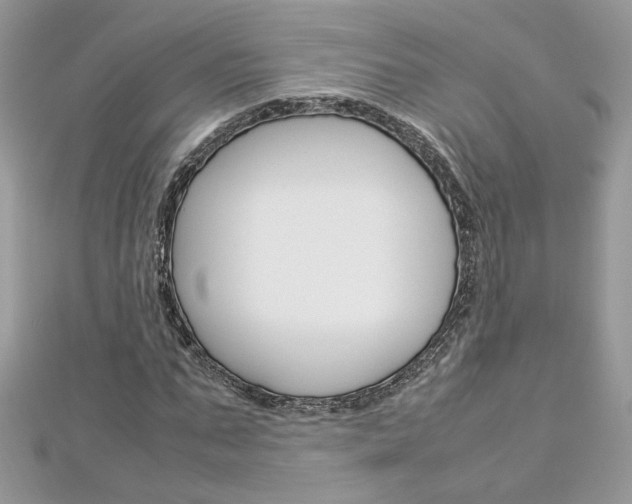 X0000113070871200908281007