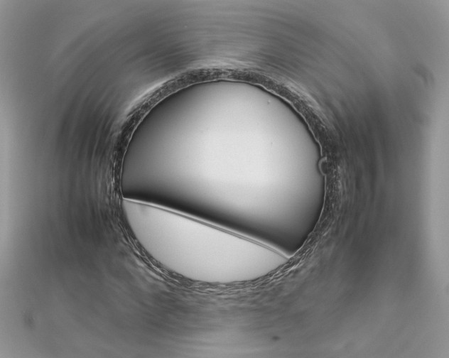 X0000113070872200908281007