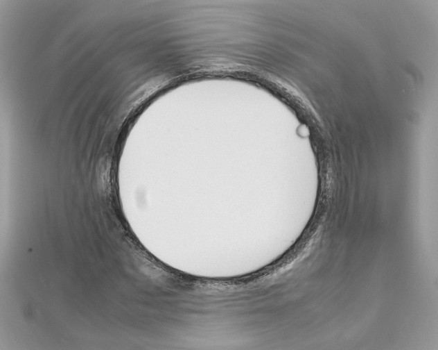 X0000113070873200908281007