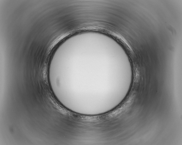 X0000113070874200908281007