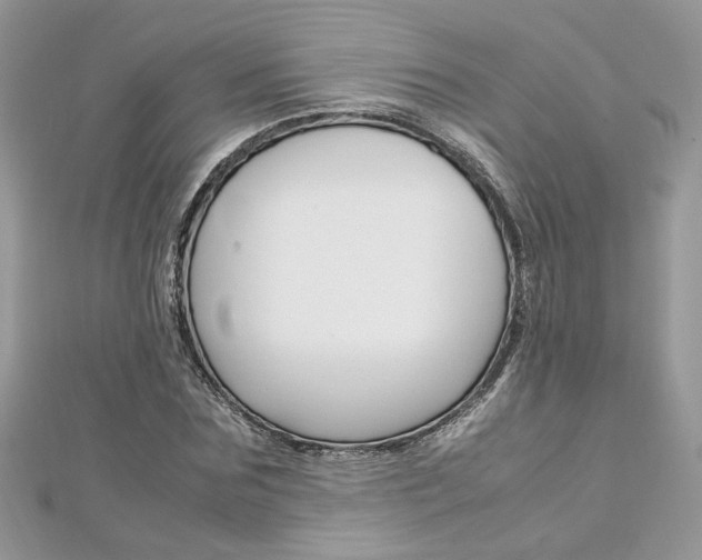 X0000113070875200908281007