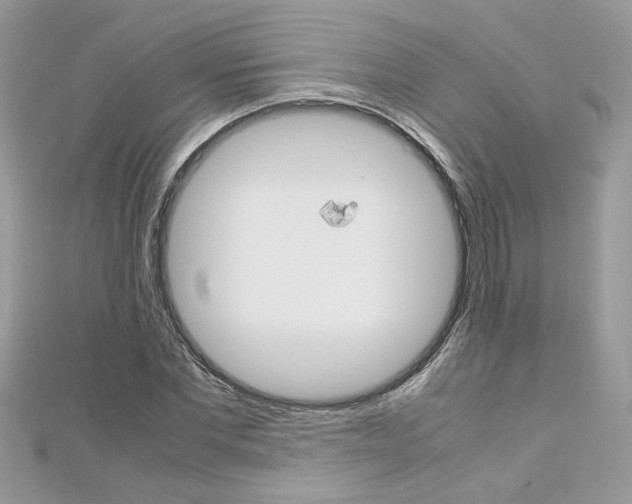 X0000113070877200908281007