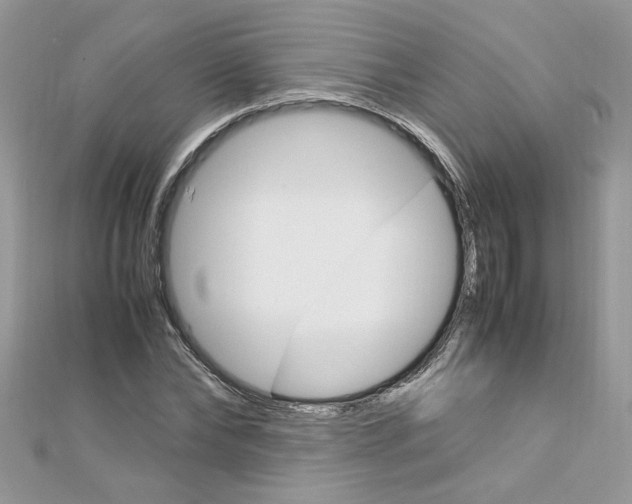 X0000113070878200908281007