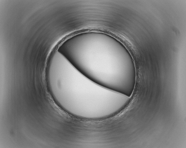 X0000113070880200908281007