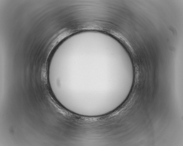 X0000113070882200908281007