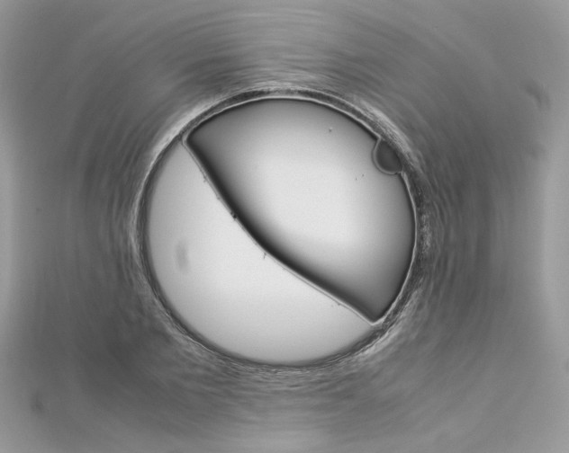 X0000113070885200908281007
