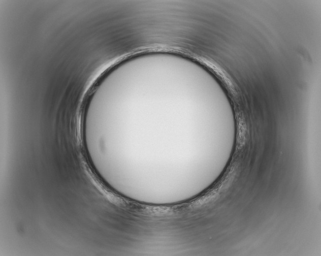 X0000113070886200908281007