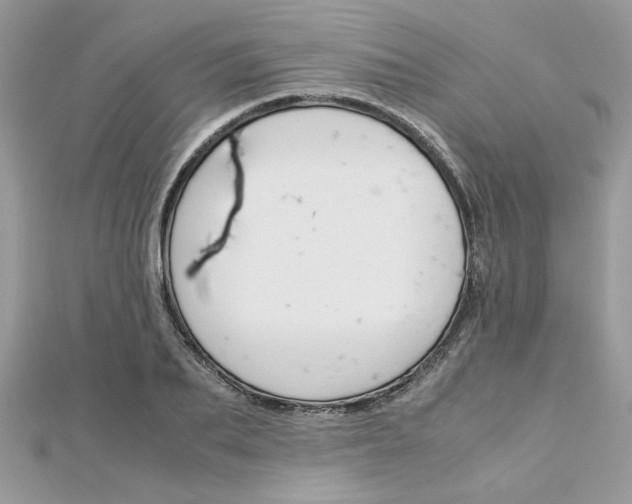X0000113070887200908281007