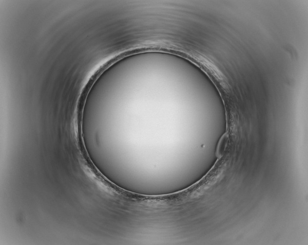 X0000113070888200908281007