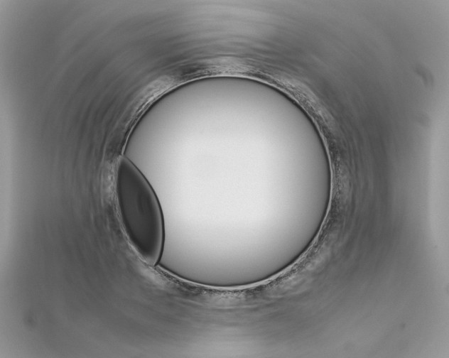 X0000113070889200908281007